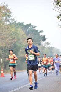 BIB: 20282
                            <button type="button" onclick="openModal(10136033)" class="btn btn-primary btn-sm float-right btn-popup" data-toggle="modal" data-target=".modal-high-quality">
                        <i class="fas fa-shopping-cart"></i> Add to Cart
                    </button>
                                            <button type="button" onclick="isThisMe(10136033, true)" class="btn btn-success btn-sm float-right btn-popup btn-isme hidden" data-toggle="tooltip" data-placement="bottom" title="นี่คือรูปของคุณใช่ไหม คลิกที่นี่เพื่อเอาเข้าอัลบั้ม">
                        <i class="fas fa-plus"></i> Add to album
                    </button>
                    <button type="button" onclick="isThisMe(10136033, false)" class="btn btn-warning btn-sm float-right btn-popup btn-isnotme hidden">
                        <i class="fas fa-ban"></i> Remove from album
                    </button>